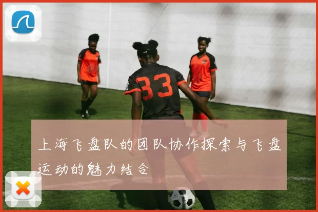 上海飞盘队的团队协作探索与飞盘运动的魅力结合
