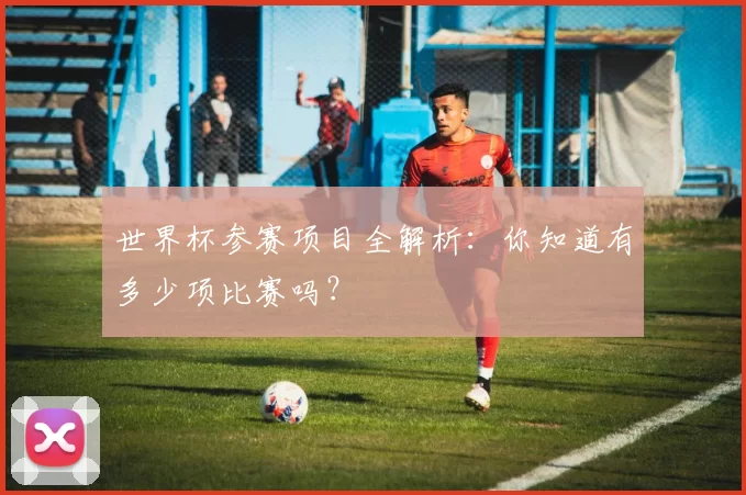 世界杯参赛项目全解析：你知道有多少项比赛吗？