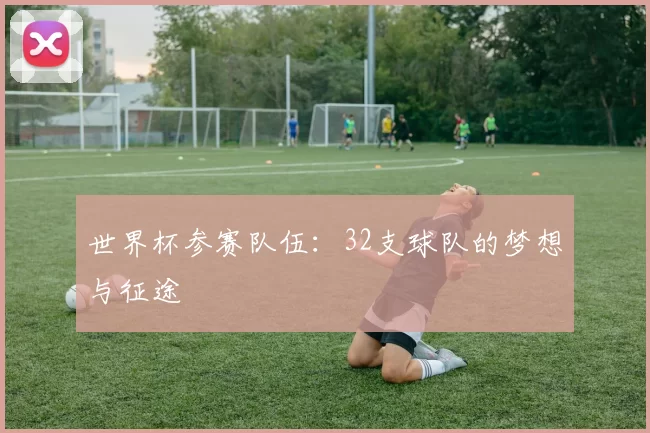 世界杯参赛队伍：32支球队的梦想与征途