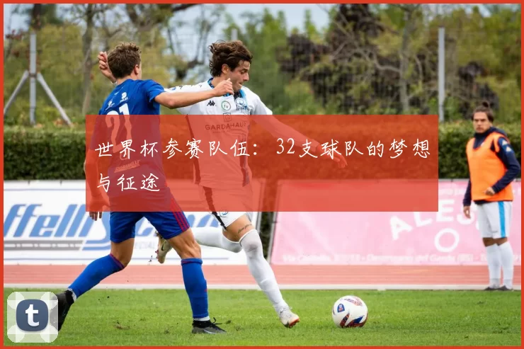 世界杯参赛队伍：32支球队的梦想与征途