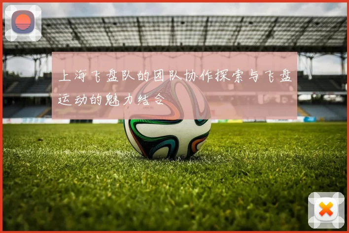 上海飞盘队的团队协作探索与飞盘运动的魅力结合