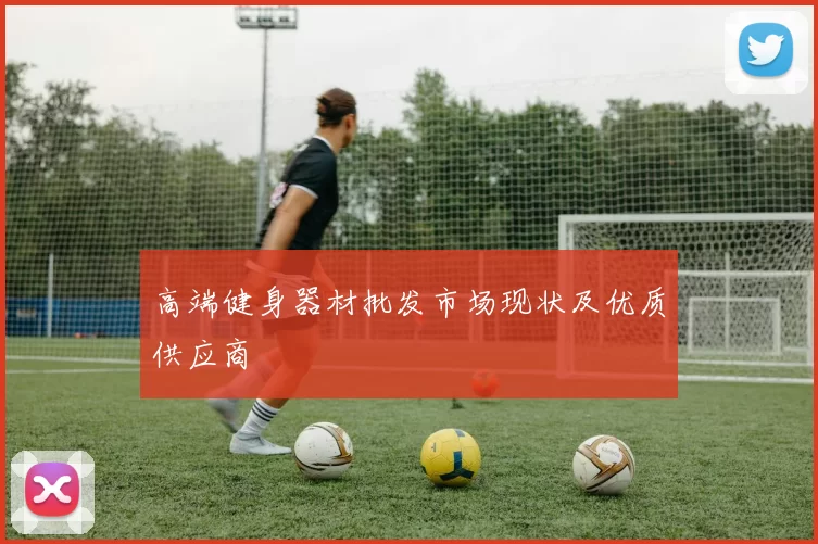 高端健身器材批发市场现状及优质供应商