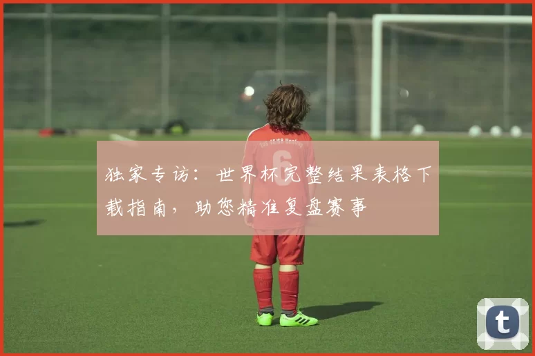 独家专访：世界杯完整结果表格下载指南，助您精准复盘赛事