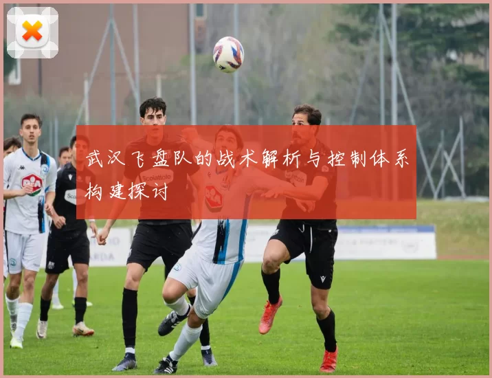 武汉飞盘队的战术解析与控制体系构建探讨
