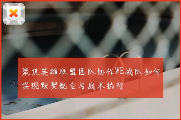 聚焦英雄联盟团队协作WE战队如何实现默契配合与战术执行