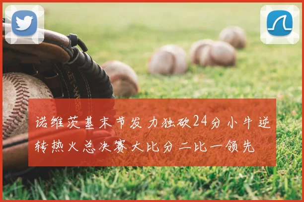诺维茨基末节发力独砍24分小牛逆转热火总决赛大比分二比一领先