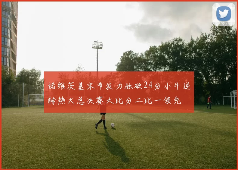 诺维茨基末节发力独砍24分小牛逆转热火总决赛大比分二比一领先