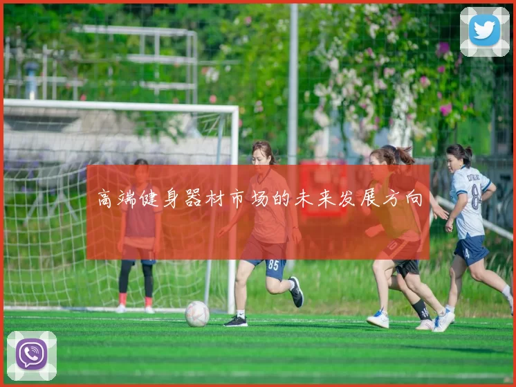 高端健身器材市场的未来发展方向