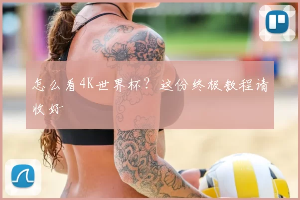 怎么看4K世界杯?这份终极教程请收好