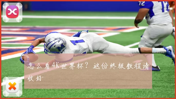 怎么看4K世界杯？这份终极教程请收好