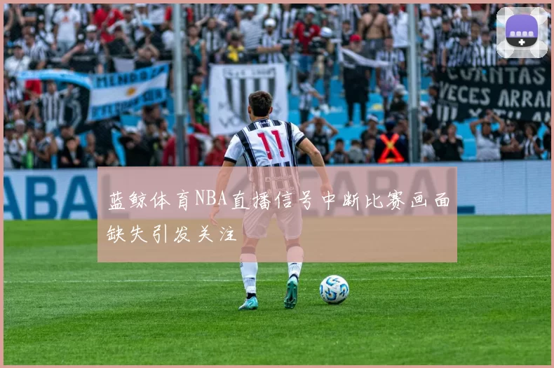 蓝鲸体育NBA直播信号中断比赛画面缺失引发关注