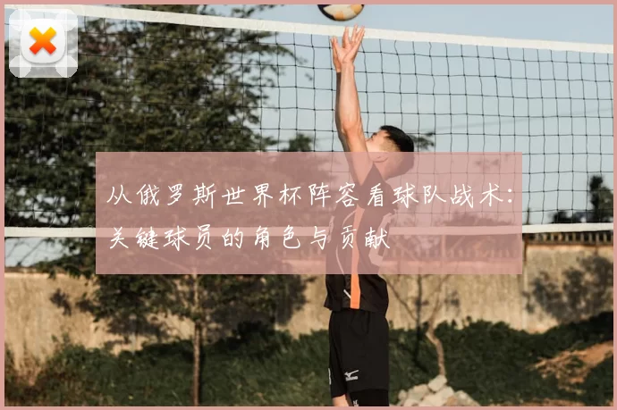 从俄罗斯世界杯阵容看球队战术：关键球员的角色与贡献