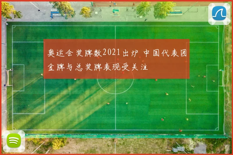 奥运会奖牌数2021出炉 中国代表团金牌与总奖牌表现受关注