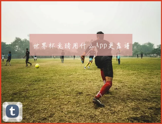世界杯竞猜用什么App更靠谱