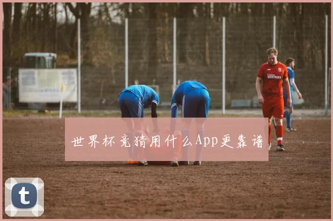 世界杯竞猜用什么App更靠谱