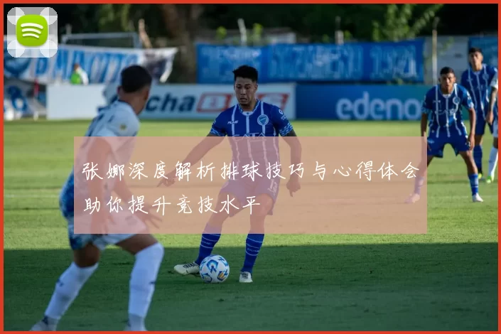 张娜深度解析排球技巧与心得体会助你提升竞技水平