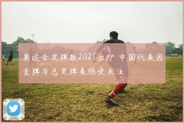 奥运会奖牌数2021出炉 中国代表团金牌与总奖牌表现受关注